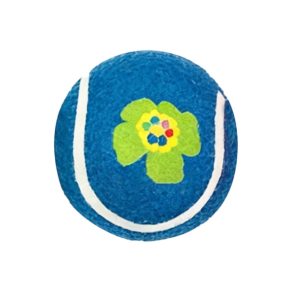 Mini Tennis Balls for Dogs 2.4 Inch - Durable Dental Chew Toy for Adult Dogs, High-Visibility Training Fetch Balls, Aesthetic Easter Basket Gift for Active Pet Home & Outdoor(Blue)