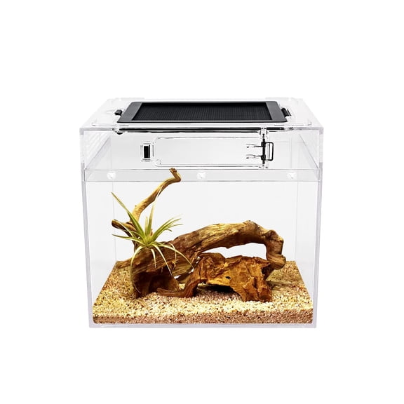 Mini Terrarium 8" X 8"x Tank With Full View Visually Appealing Forect Fish Tarantula Hermit Crab Jumping Iguana Tortoise Leopard Gecko Frog Bearded Dragon