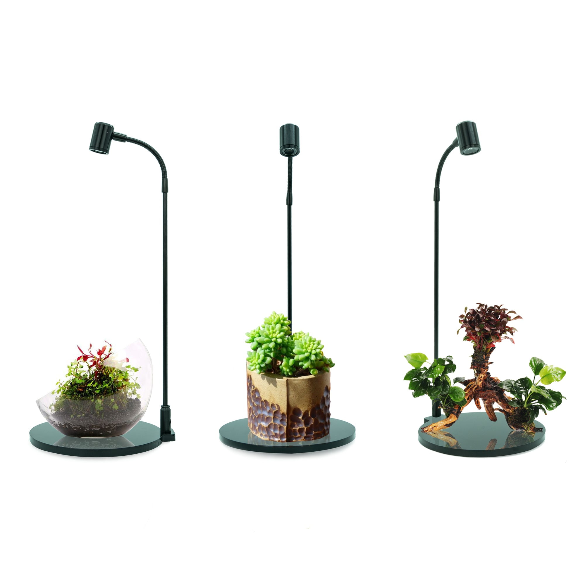 Mini Black Acrylic LED Spotlight for Terrariums and Aquariums