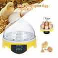 thumbnail image 1 of Mini Transparent Smart Temperature Control 7 Chicken Egg Incubator with User Manual, 1 of 9