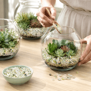 Mini Tumbled Jade Bean Gravel Pebbles, Mixed Light Green White Polished Tiny Stones, Terrarium Succulent Pot Top Dressing, Vase Filler & Mini Aquarium Decor