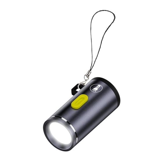 Mini Type C Powered LED Torches Small LED Light With Switching Perfect For Camping Cycling And Power Outages 210Lumens