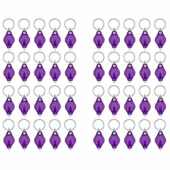 Mini UV LED Keychain Flashlight 10 Lumen Portable Light Detector Battery Powered Fluorescent Torch, 40 Pack
