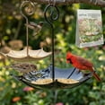 thumbnail image 1 of Mini Umbrella Bird Feeder, 2-in-1 Hanging Metal Tray Bath Waterer, Whimsical Shade Cover Station for Wild Hummingbird Garden Yard (2 PC, Colorful), 1 of 7
