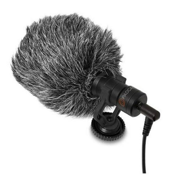 Microphone