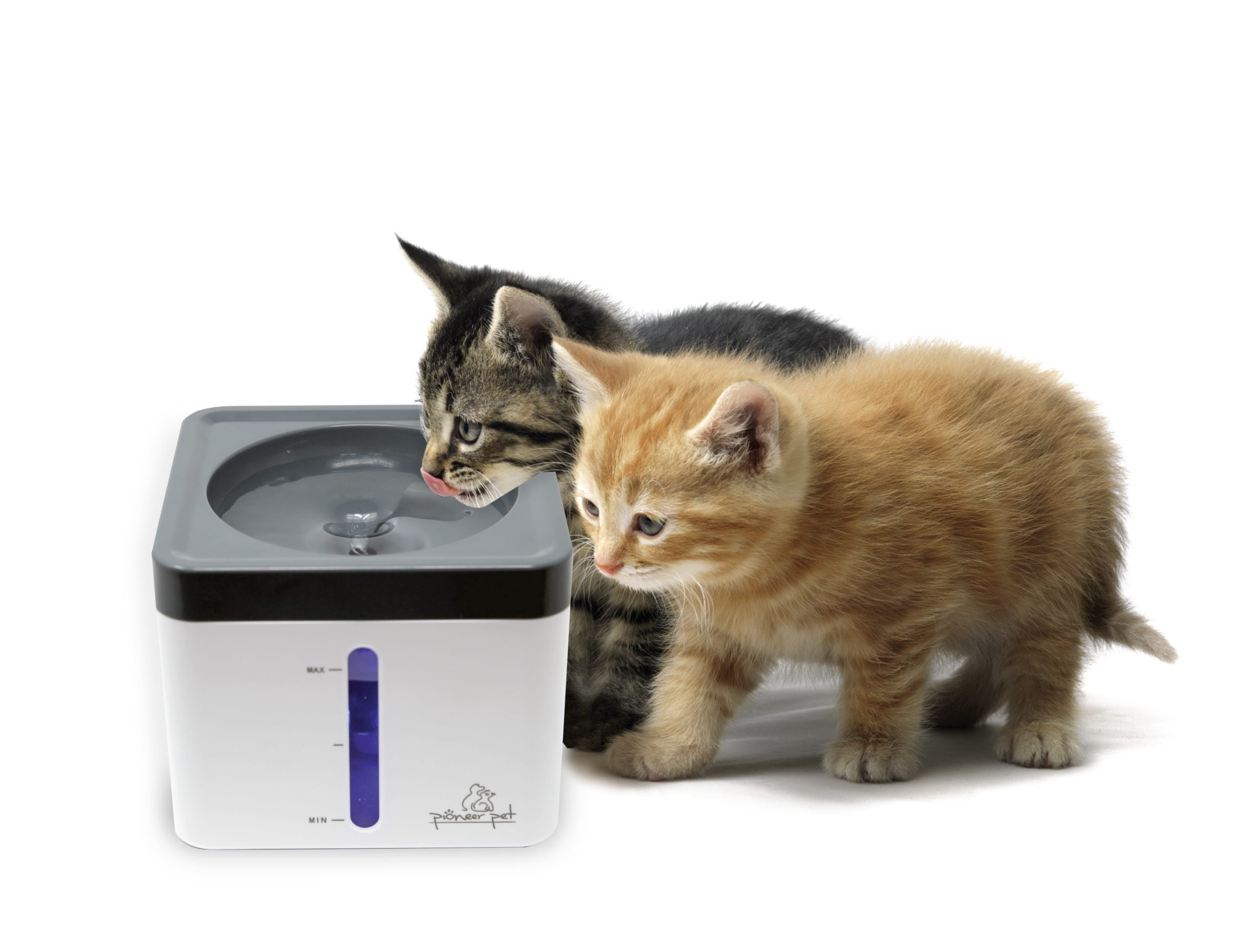 Raindrop cat water fountain hot sale