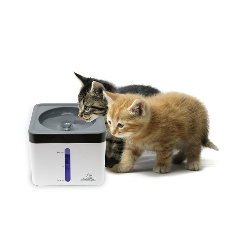 Mini Vortex Pet Drinking Fountain 80oz Capacity