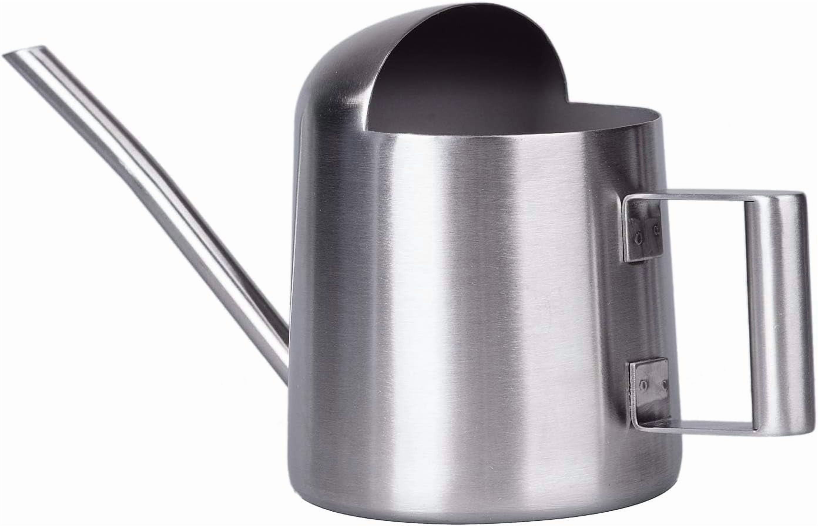 Mini Watering Can for Indoor Plants Stainless Steel Small Watering Can 11oz/300ml