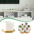 thumbnail image 1 of Product Succulent Pots White Mini Ceramic Planter Pot with Tray for Home Garden, 1 of 7