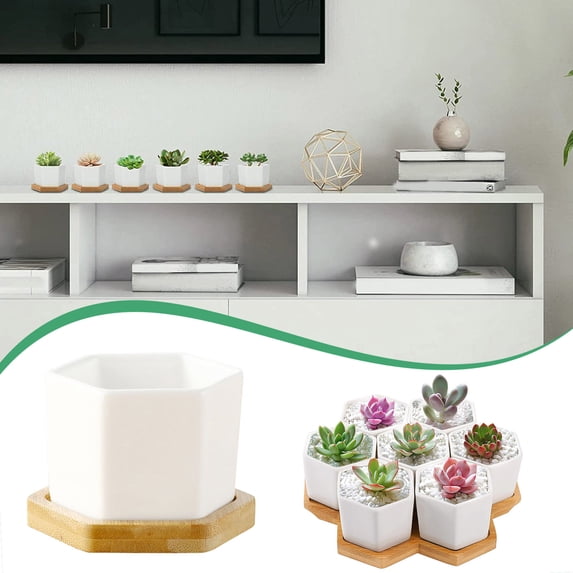 Product Succulent Pots White Mini Ceramic Planter Pot with Tray for Home Garden