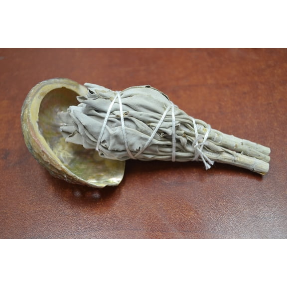 Mini White Sage + Green Abalone Shell Smudge Kit