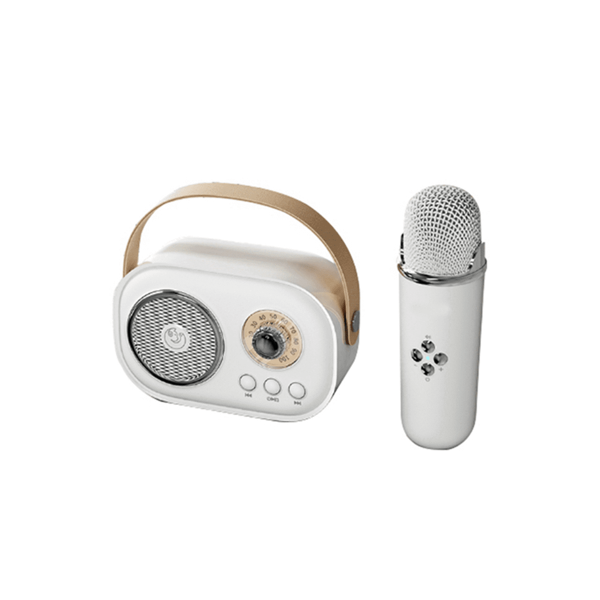 Mini Wireless Bluetooth Audio Home Singing Karaoke Integrated