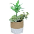thumbnail image 1 of Mini artificial succulent combination potted plants, creative small ornaments, plastic green plants, simulation potted plants - type:style2;, 1 of 5