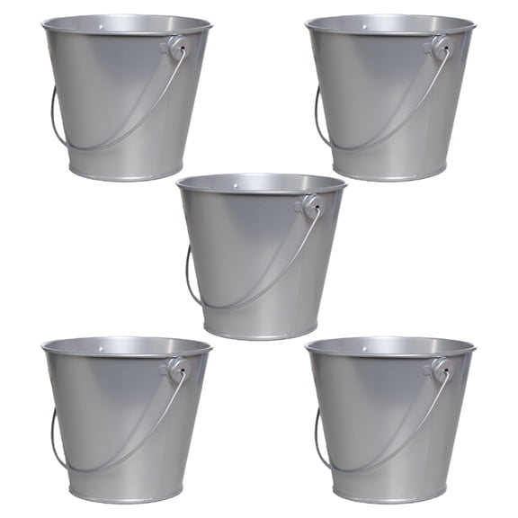 Mini iron bucket Tin bucket creative succulent pot trumpet