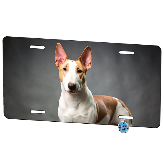 Miniature Bull Terrier Dog Photo Metal Novelty License Plate