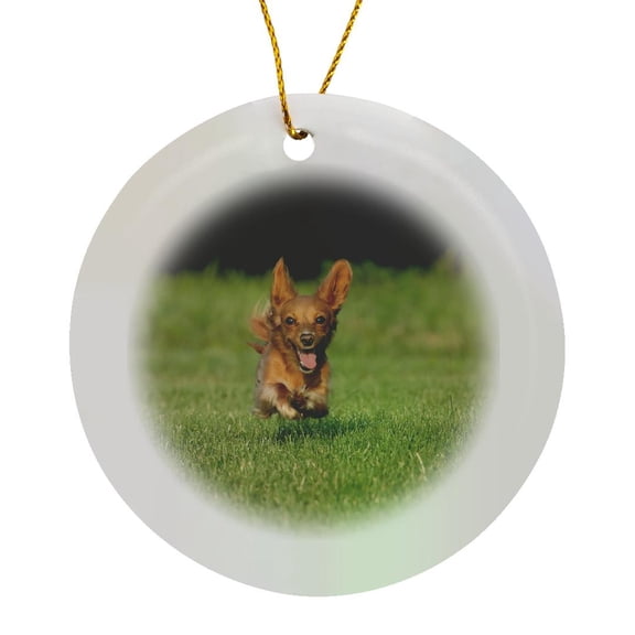3drose, Miniature Dachshund Running Toward Camera., Circle Porcelain Ornament