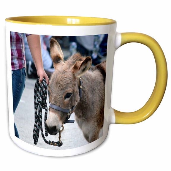 3drose, Miniature Donkey Head Halter Animal, 11oz Two-tone Yellow Mug