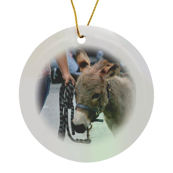 3drose, Miniature Donkey Head Halter Animal, Circle Porcelain Ornament