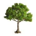 thumbnail image 1 of Miniature Green Tree Sand Table Model for Home Decor and Creative Scene Building, Realistic Design with Texture, Ideal for Zen-inspired Displays, Model Crafting, and Holiday Gifts, 1 of 5