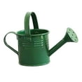 thumbnail image 1 of Miniature Metal Watering Can for Kids, Cute and Simple Garden Watering Bucket with Carry Handle, Ideal for Flowers and Small Garden Plants, 1 of 5