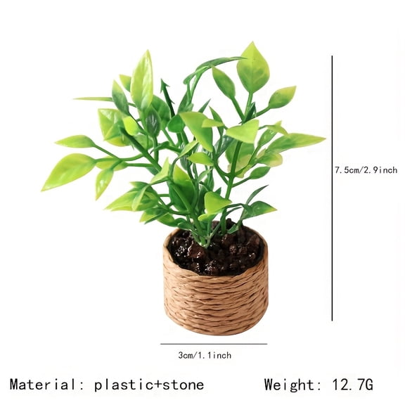 Miniature Orange Tree Green Plant Decor
