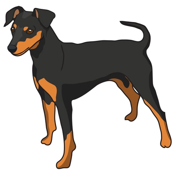 Miniature Pinscher Decal | Indoor/Outdoor | Dog Lover Super Cute Sticker for SUV Windows, Dorm Rooms, Bedroom, Offices | SignMission personalized gift | 36"