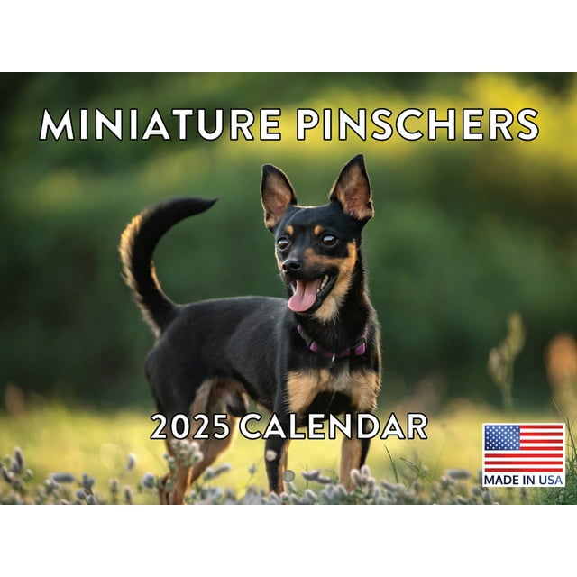 Miniature Pinscher Dog 2025 Calendar Made In The USA