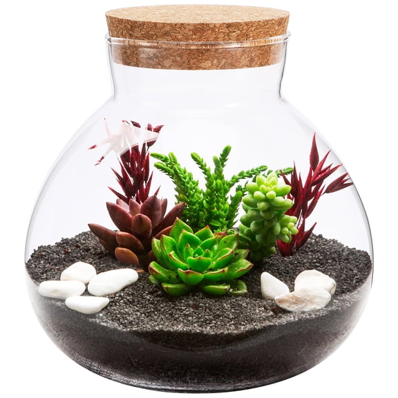 Round Glass Terrarium Container with Cork Lid, Plant Bottle, Small Empty Planter Jar, Bud Vase Canister