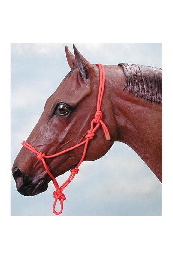 Miniature Poly Rope Halter Colors: Royal Blue