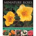thumbnail image 1 of Miniature Roses (Paperback), 1 of 1