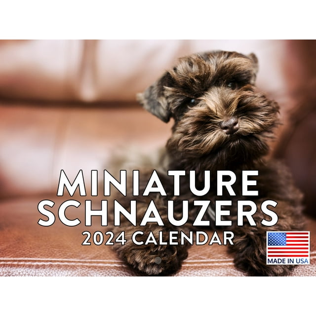 Miniature Schnauzer 2024 Wall Calendar