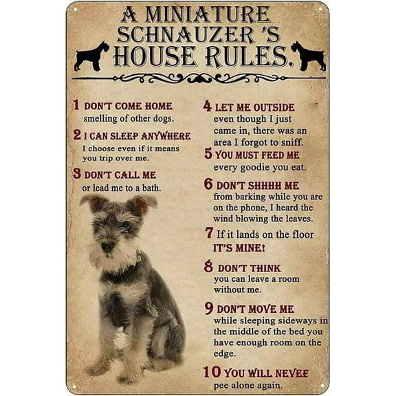 Miniature Schnauzer's House Rules Weatherproof Funny Metal Aluminum Sign Size: 8" x 12"