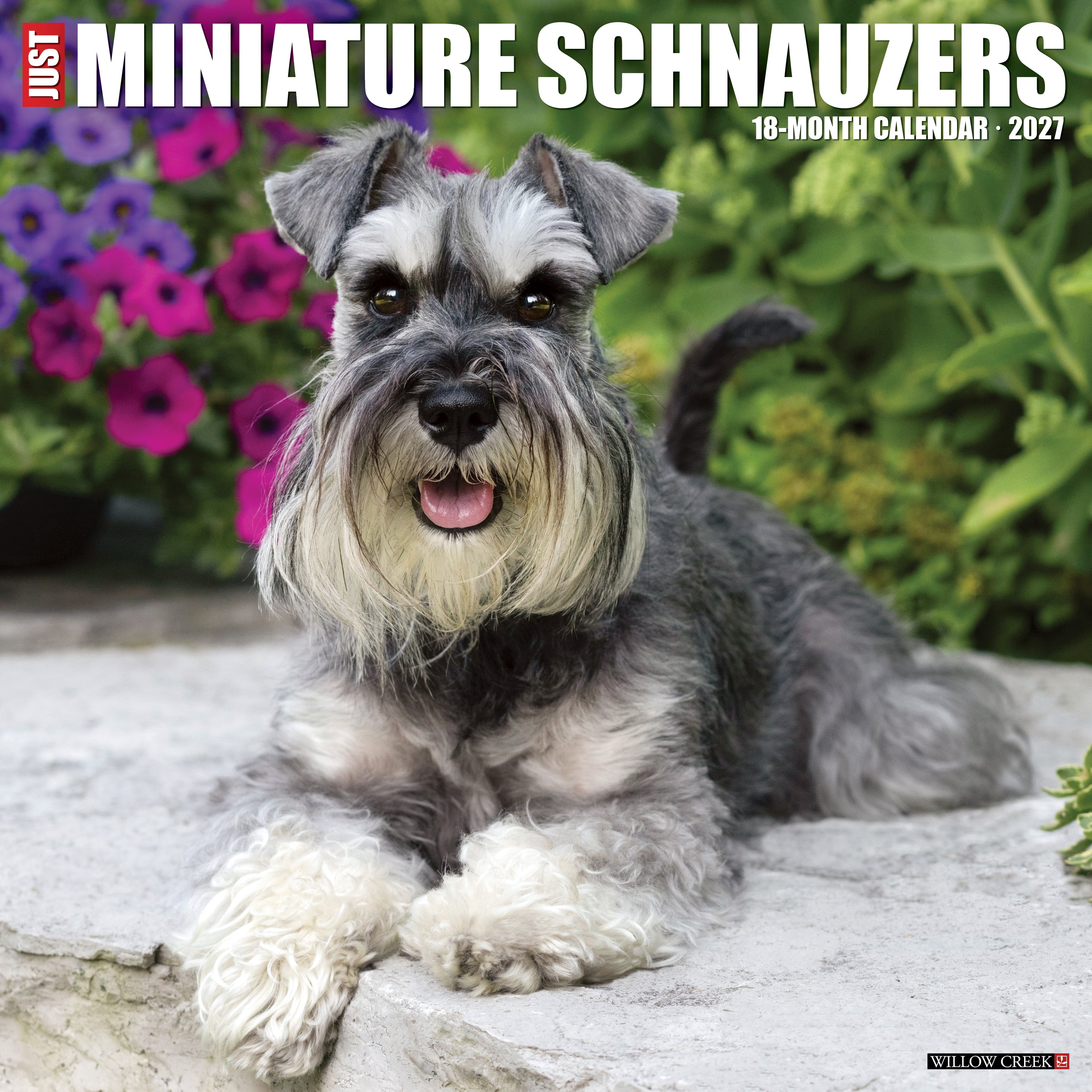 Willow Creek Press, Miniature Schnauzers 2027 Wall Calendar