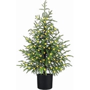 Minibee 2FT Norfolk Pine Tree with LED Lights   Artificial Real Touch Potted Christmas Tree with Black Pot for Indoor Holiday Decorations