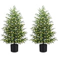 thumbnail image 1 of Minibee Artificial Norfolk Pine Tree with Lights, 2FT Pre-Lit Christmas Tree with Black Pot for Living Room or Entryway, 1 of 11