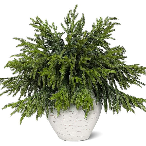 Minibee Norfolk Pine Stems 18 Inch, 16 Pack Real Touch Artificial Norfolk Pine Branches Faux Greenery for Christmas Decor, Garland