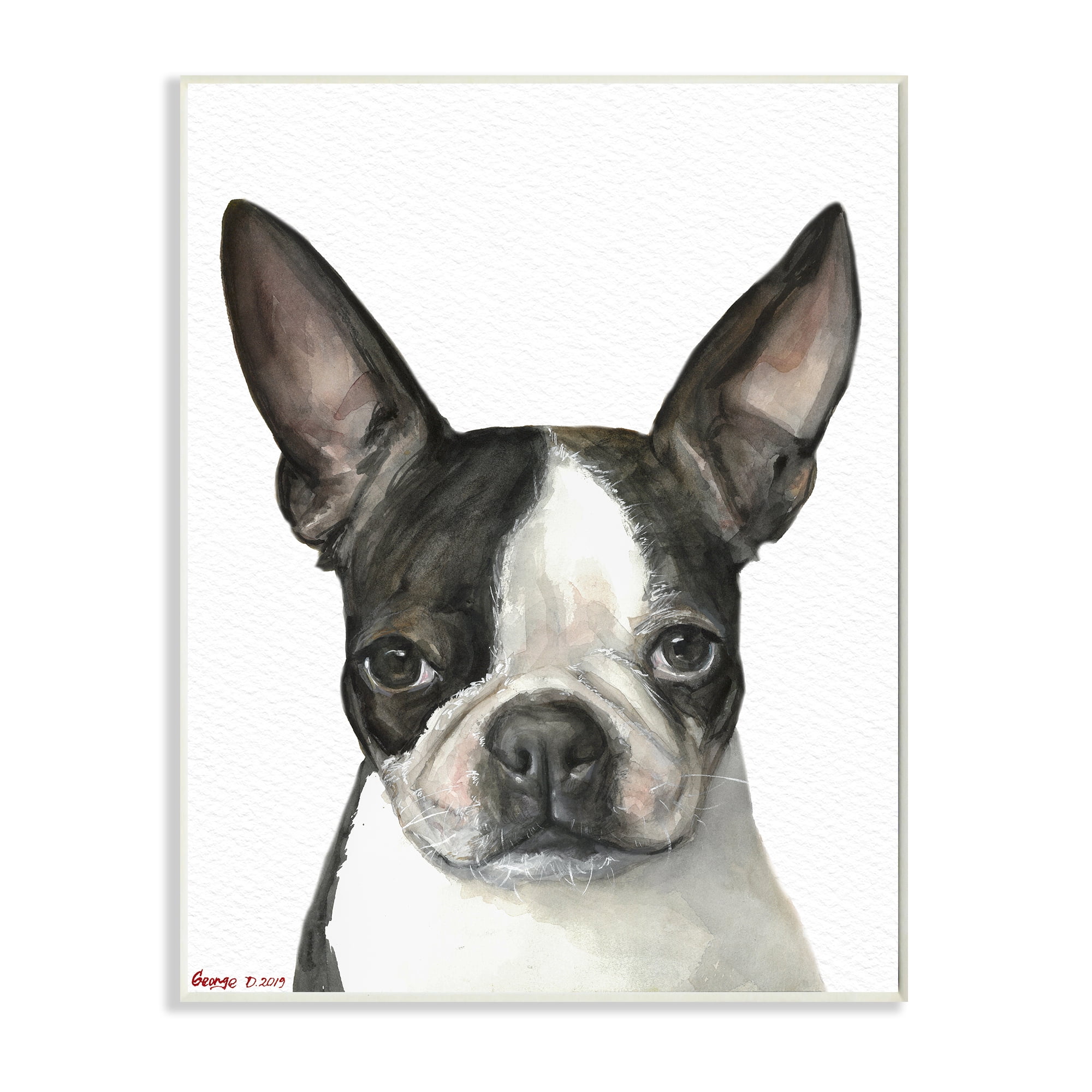 Minimal Boston Terrier Portrait Pet Dog Black White 13 in x 19 in Framed Painting Art Print, by Stupell Home Décor