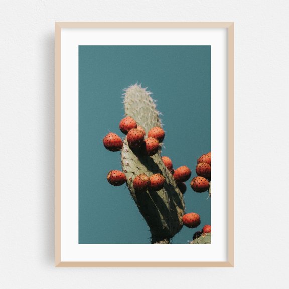 Minimal Cactus - Visalia California Photography Cactus Desert Botanical Nature Minimalist Tropical Fruit Oak Framed Wall Art Print 5 x 7 inches