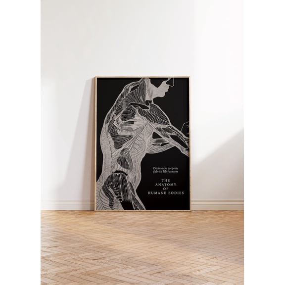 Minimal Human Anatomy Poster, Unframed Paper Poster 11x14in