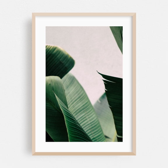 Minimal Palms - Visalia California Photography Botanical Tropical Nature Minimalist Palm Tree Floral Oak Framed Wall Art Print 5 x 7 inches