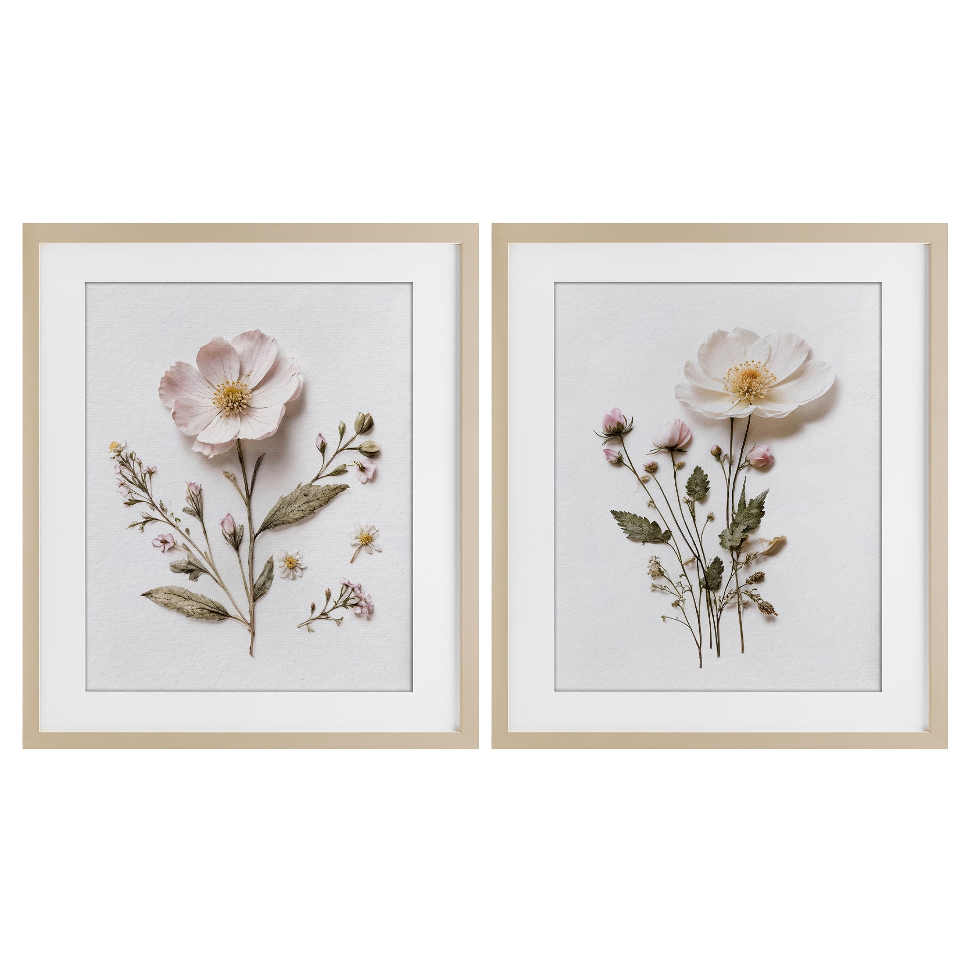 Minimal Pressed Flowers 2 Piece Birch Framed Print Under Glass Set, design by Lettered and Lined
