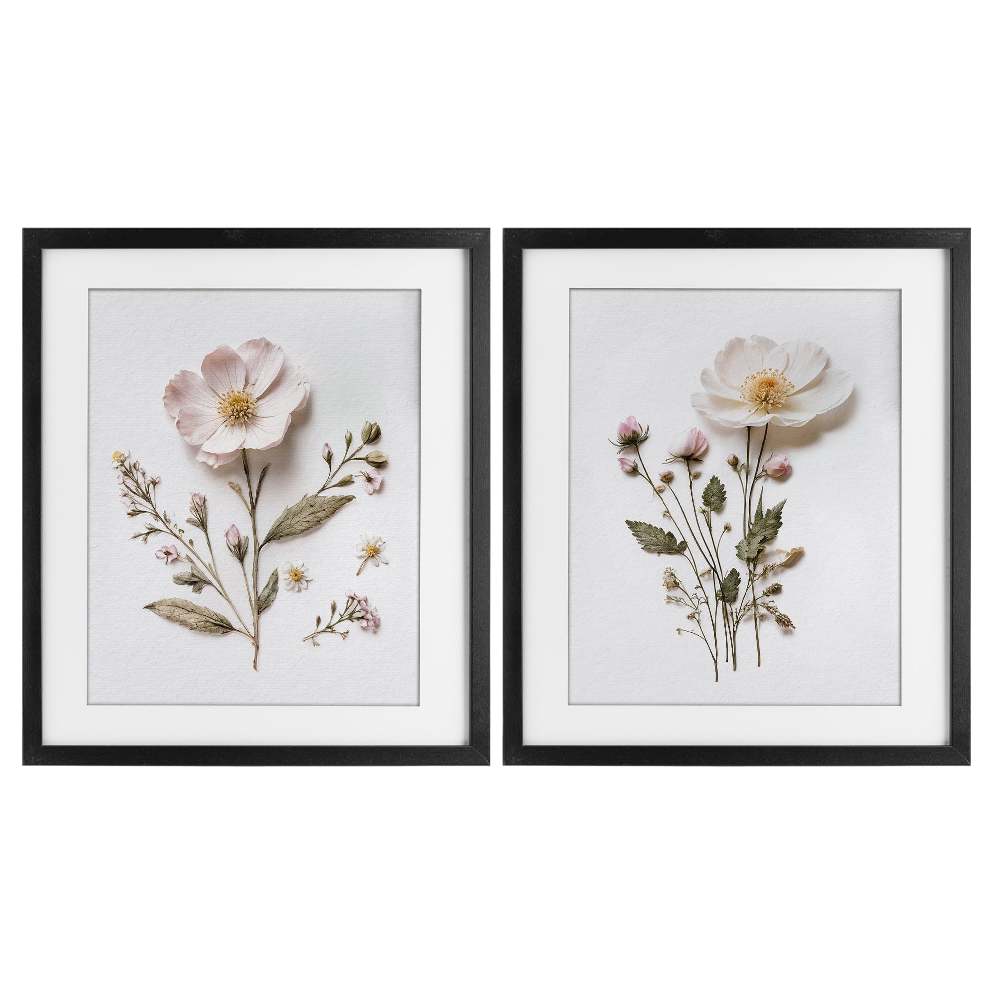 Minimal Pressed Flowers 2 Piece Black Framed Print Under Glass Set, design by Lettered and Lined
