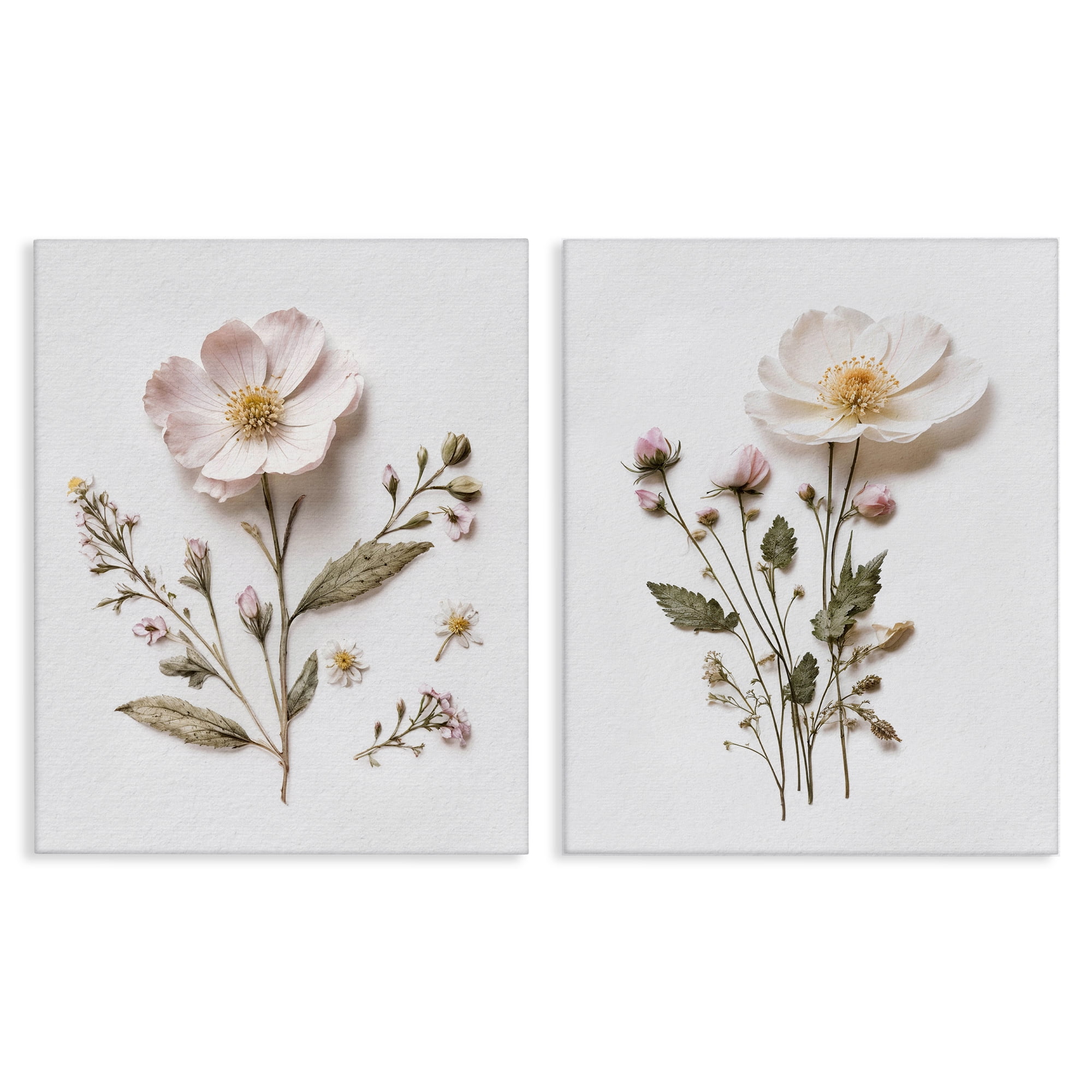 Minimal Pressed Flowers 2 Piece Canvas Wall Art Set, design by Lettered and Lined