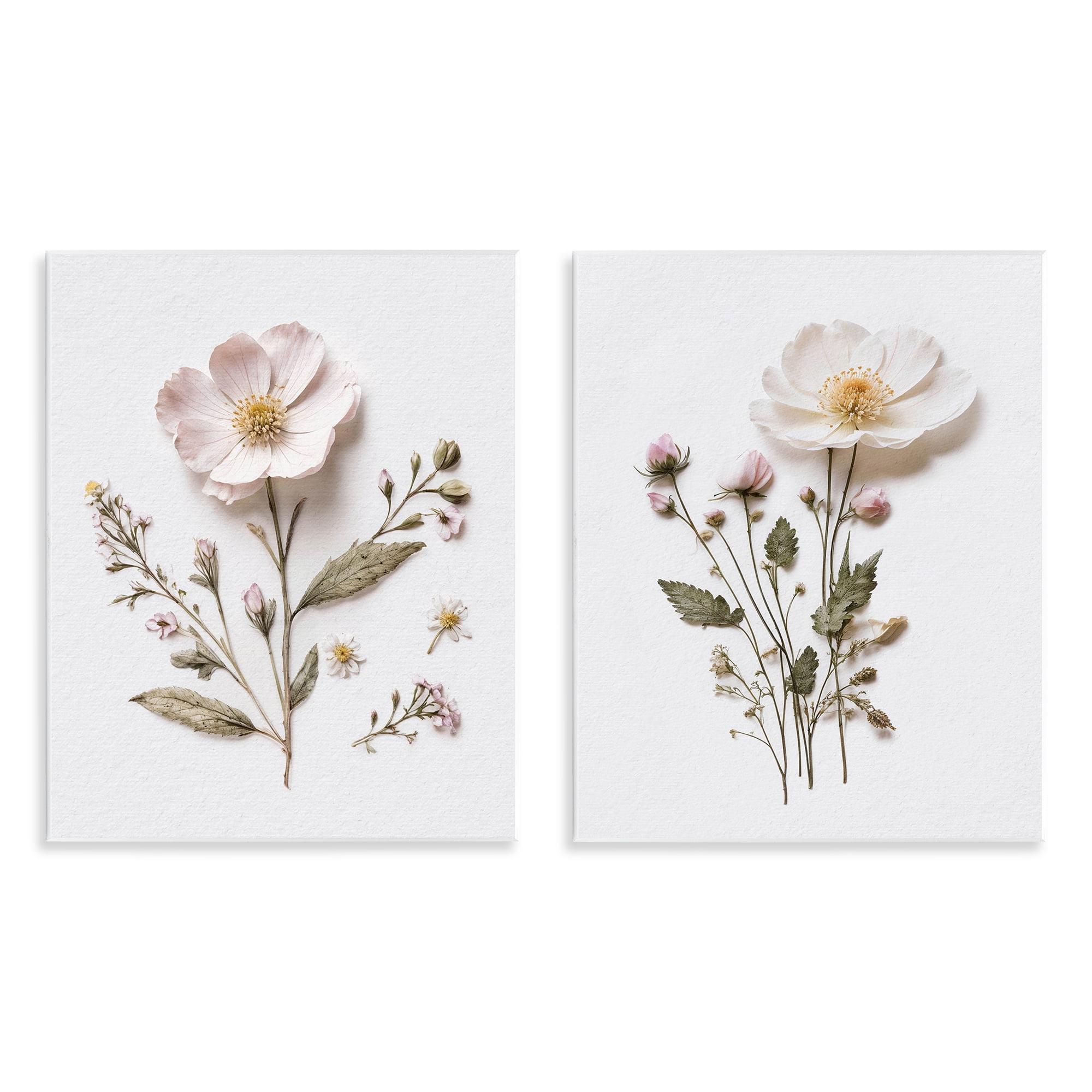 Minimal Pressed Flowers 2 Piece Wall Plaque Art Set, design by Lettered and Lined