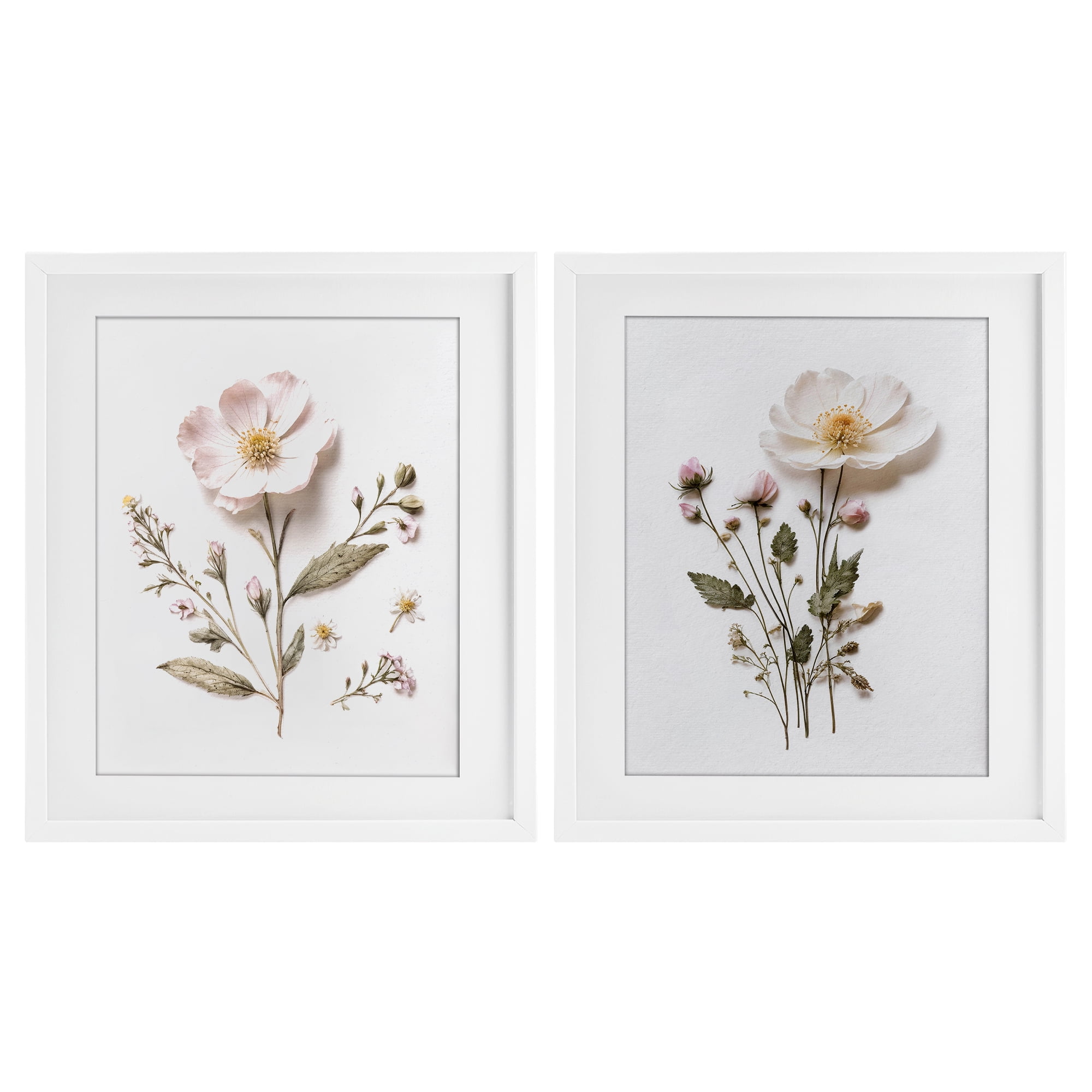 Minimal Pressed Flowers 2 Piece White Framed Print Under Glass Set, design by Lettered and Lined