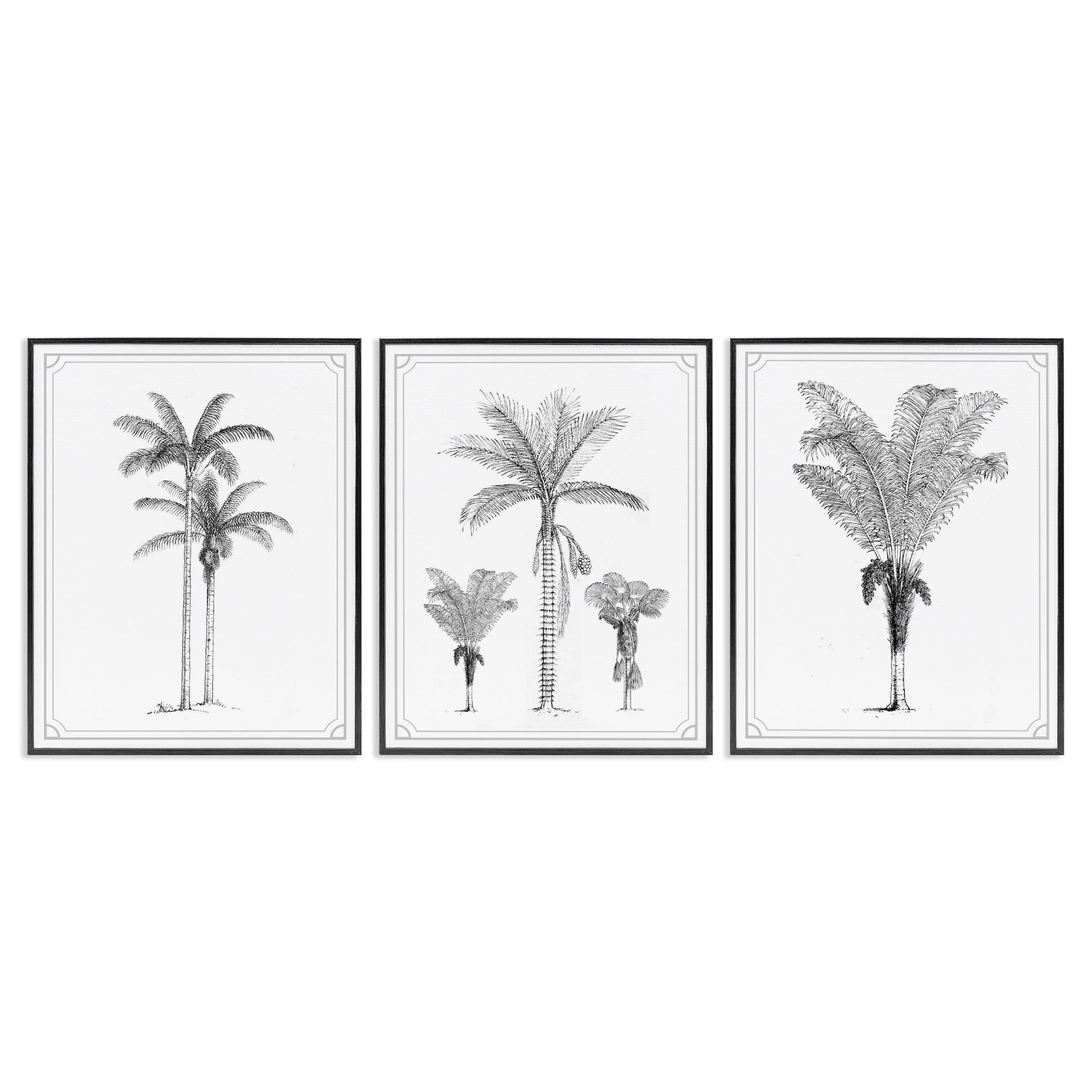 Minimal Vintage Palm Tree Sketches 3 Piece Black Framed Giclee Art Set, design by Lettered and Lined