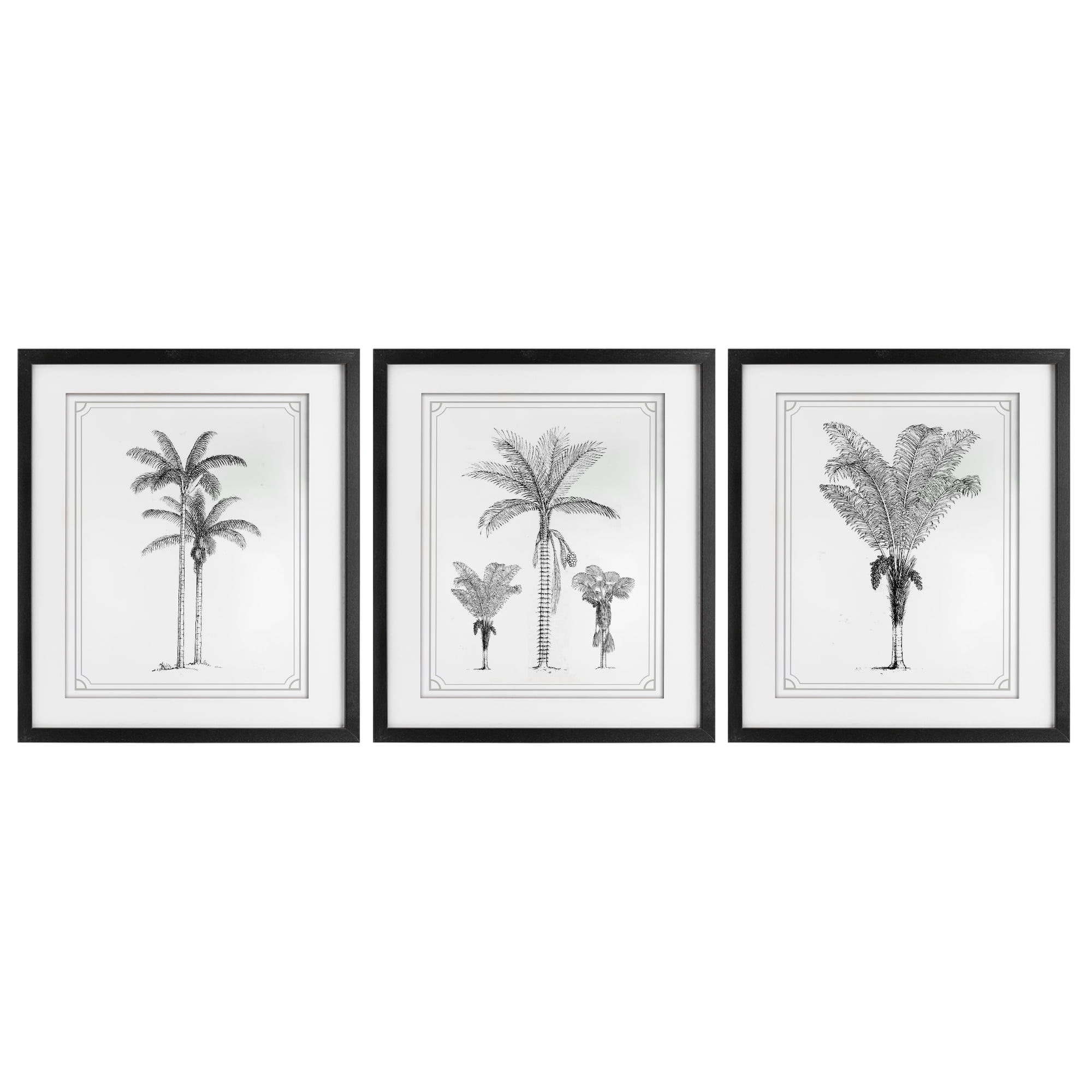 Minimal Vintage Palm Tree Sketches 3 Piece Black Framed Print Under Glass Set, design by Lettered and Lined