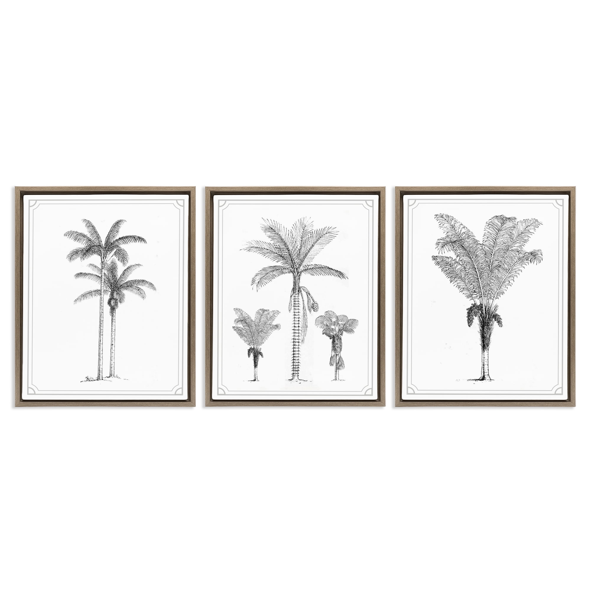 Minimal Vintage Palm Tree Sketches 3 Piece Brown Framed Floater Canvas Set, design by Lettered and Lined