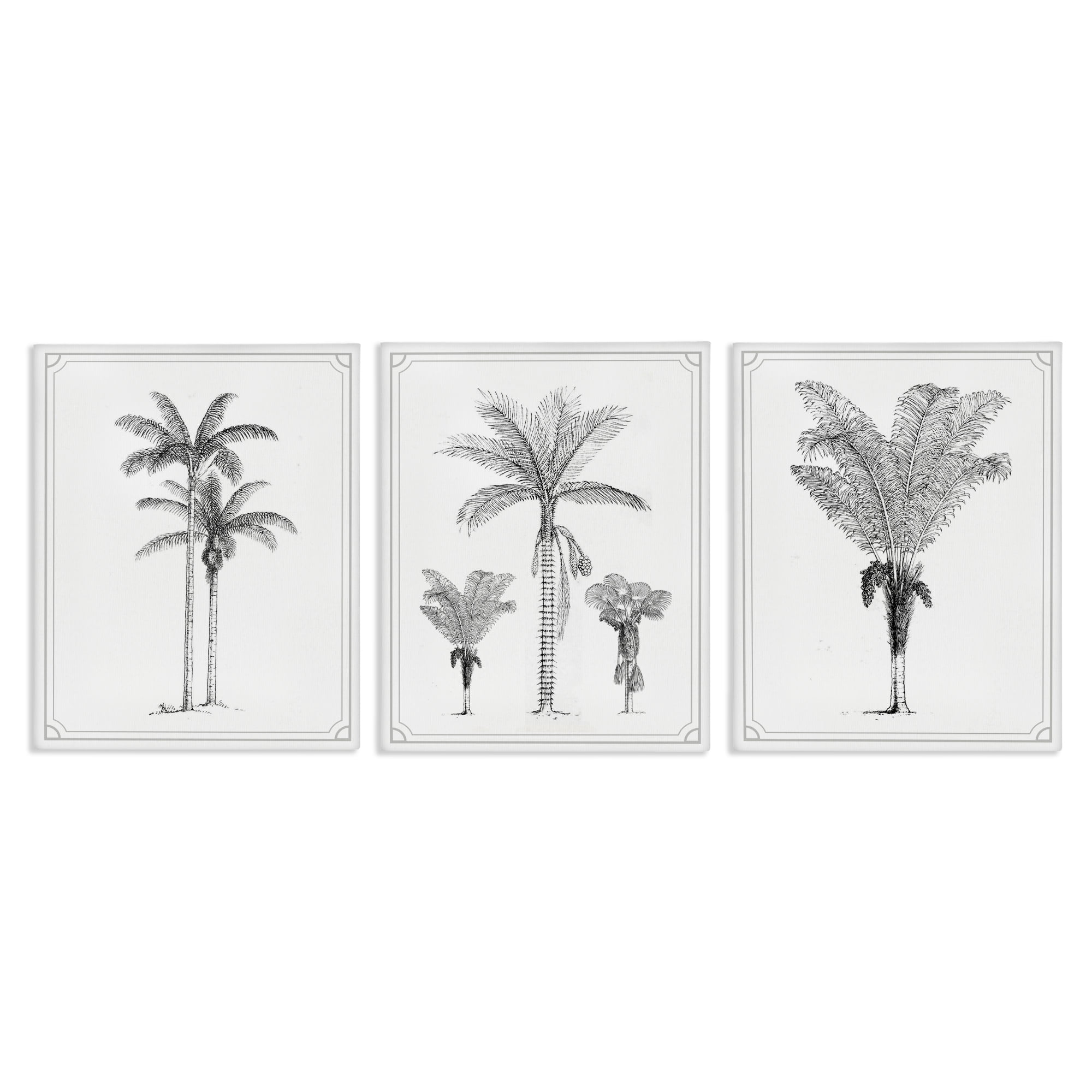 Minimal Vintage Palm Tree Sketches 3 Piece Canvas Wall Art Set, design by Lettered and Lined