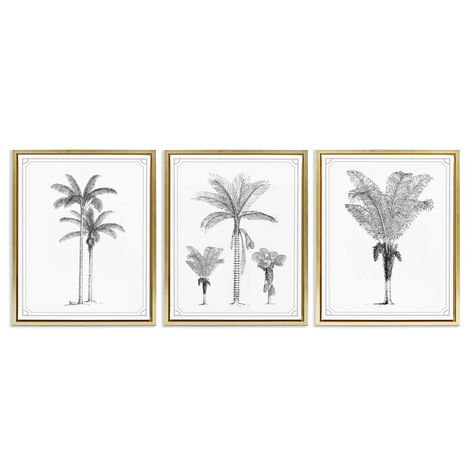 Minimal Vintage Palm Tree Sketches 3 Piece Gold Framed Floater Canvas Set, design by Lettered and Lined